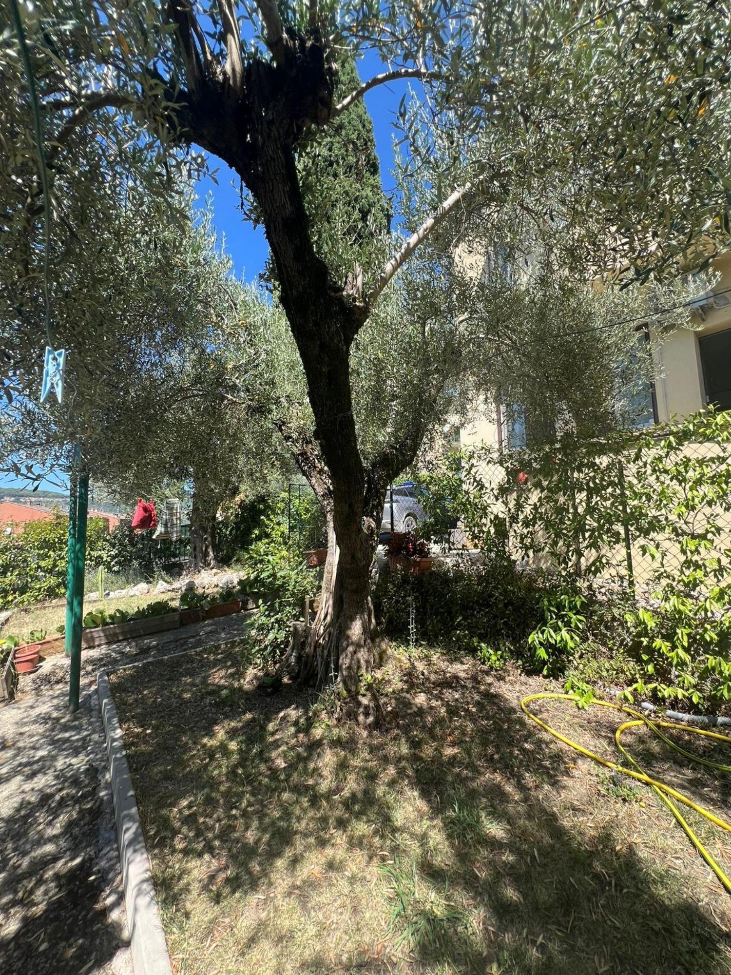 La Locanda Delle Idee Santa Lucia Perugia Ngoại thất bức ảnh